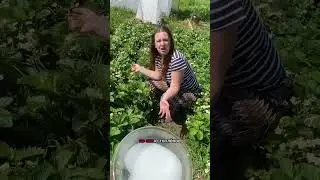🤣МАМИН ПРАНК #юмор #приколы #прикол #смешно #смешное #смешноевидео #шутки #шутка