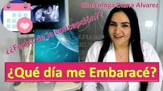 ¿QUÉ DÍA ME EMBARACÉ? ¿CÓMO CALCULAR LA FECHA DE CONCEPCIÓN? POR GINECOLOGA DIANA ALVAREZ