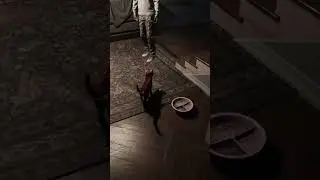 Завели кота в Демонологисте 1 часть