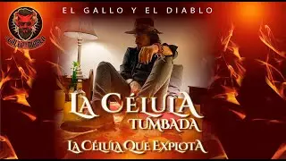LA CÉLULA TUMBADA. La rola más iconica "La Célula que explota" En version tumbada