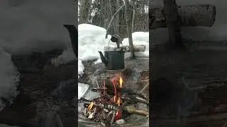 дым в лесу