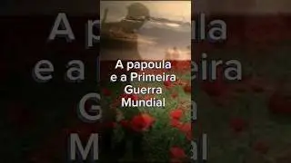 A papoula e a Primeira Guerra Mundial #primeiraguerramundial #primeiraguerra #papoula #historia