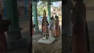 மூலச்சன் விளை தை மாதம் சிறப்பு Video6
