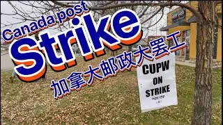 My first Strik in Canada在加拿大第一次参加罢工游行