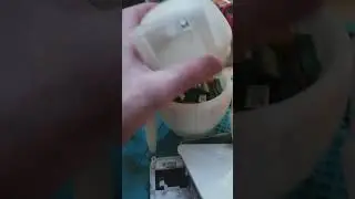 Koda Luma - Can I fit it inside the E-Bot Assistant? 