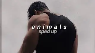 Maroon 5 - Animals (sped up)