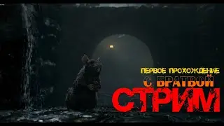 Стрим  Warhammer End Times - Vermintide первое прохождение чисто на релаксе