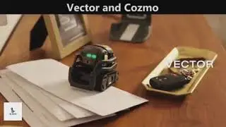 Best Robot Pets 2020