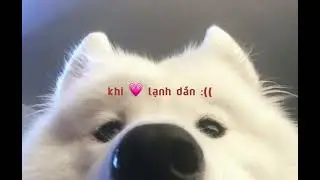 🛵💨 vaicaunoicokhiennguoithaydoi - hdan cover qa dehuong😸🤘🏻