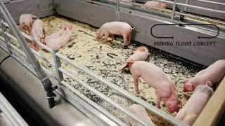 Moving Floor Pig - time lapse
