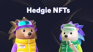 Hedgie NFTs - dYdX & Hedgies Educational Series