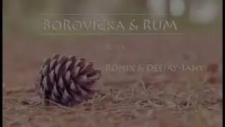 Ronix & Deejay-Jany - Borovička & Rum |Remix