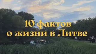 10 Facts About Life in Lithuania: What Language to Speak, Money-Animals, Basketball and Caraway B...