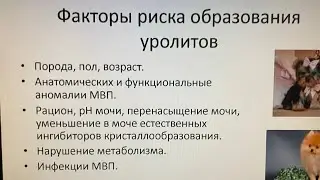 МКБ. Мочекаменная.