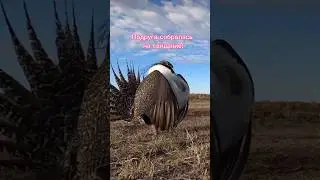 Поддержка нужна всё-таки