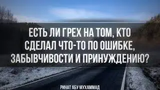 594. Есть ли грех на том, кто сделал что то по ошибке, забывчивости или принуждению?