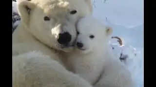 Мамочка моя родная...