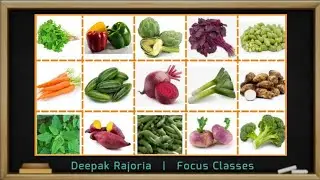 Vegetables Name with Pictures | सभी सब्जियों के English में नाम | 56 Different Types Of Vegetables