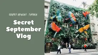 Секретный сентябрьский влог