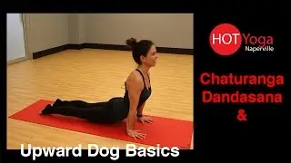 Learn How To Do Chaturanga Dandasana Yoga Pose