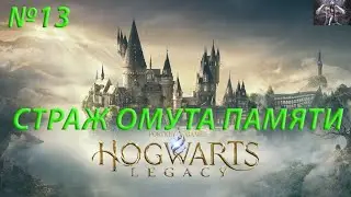 Hogwarts Legacy-СТРАЖ ОМУТА ПАМЯТИ
