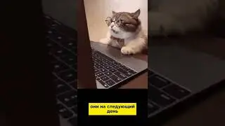 ЧТО БУДЕТ ЕСЛИ НЕ ОТДЫХАТЬ