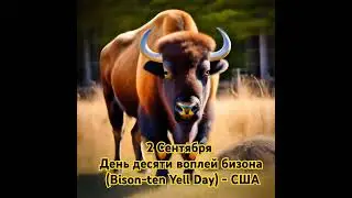 Дeнь дecяти вoплeй бизoнa (Bison-ten Yell Dаy) - CШA, история