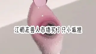 （别样狐狸)知乎小说推荐。江砺在兽人市场买了只小狐狸，说是送我的生日礼物。小狐狸明艳动人，又格外黏他。江砺起先很嫌弃，觉得小狐狸太蠢笨，总害怕它