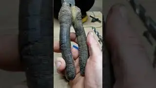 Доработка плоскогубцев, бокорез, итд.