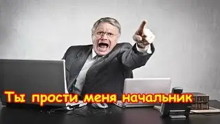 Ты прости меня начальник - Шеваловский Александр