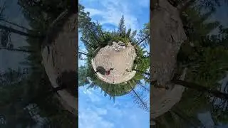 Eagle lake trail June 2024