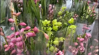 ЦВЕТОЧНЫЙ РЫНОК Лондон Орхидеи ЦИМБИДИУМ ! ФАЛЕНОПСИСЫ - ГИГАНТЫ ! Columbia Road Flower Market