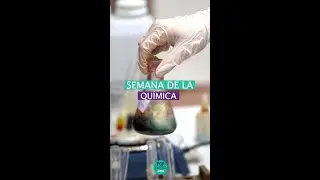 Resumen de actividades- Semana de la Química 2024