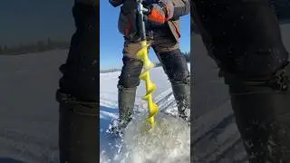 Зимний лес, как ты прекрасен !  #лес #зимняярыбалка #рыбалка #fishing  #окунь #hiphopmusic