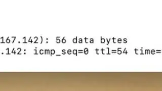 ping command unix