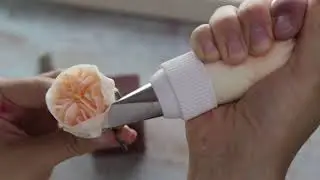 English rose. Chantyflex cream