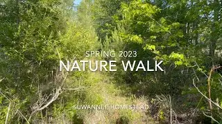 Nature walk at Suwannee Homestead - Spring 2023 #asmr #nature #relaxing
