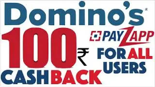 Domino's Best New Offers | Payzapp 100 Rs Cash Back Offers | For All Users | Offers In Hindi |