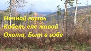 Ночной гость. Кобель еле живой. Охота. Быт в избе. 2 серия.