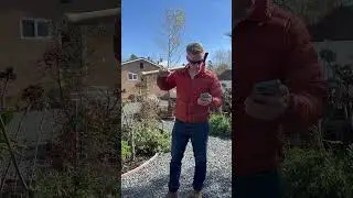 Best Friends responds to my Voicemail, real MESSAGE!