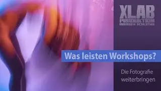 Was leisten Workshops?