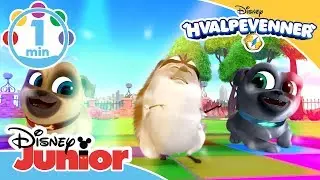 Hvalpevenner | Musik: Dansesangen 🦔- Disney Junior Danmark