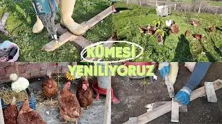 KÜMESİ YENİLEDİK! Tavuklar İçin En İdeal Tünek Yapımı 🐔