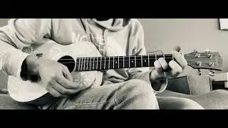 IMG 0251