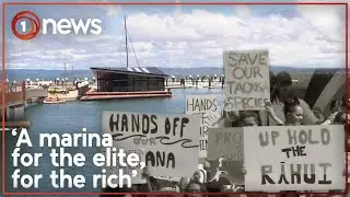 Controversial marina on Waiheke Island opens | 1News