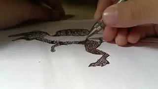 Spino timelapse