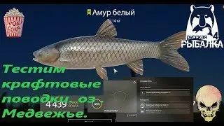 Russian Fishing 4. oz. Bearish We test craft fluorocarbon leashes.