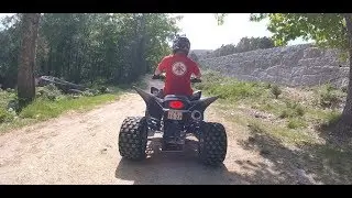 Yamaha Raptor 350R