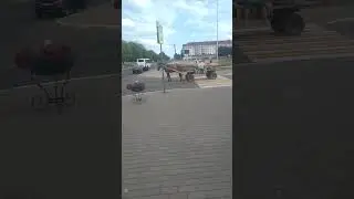 18 июля 2024 г.