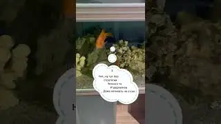 5 типов блогеров😂. А какой тебе известен?